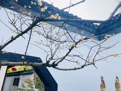 -上海醉白池公园