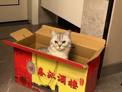 -春江酒楼(海宁盐官环城南路店)