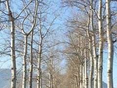 -北京西山滑雪场