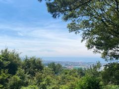 -汉拿树木园