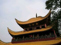 -巴陵全鱼席(湖南老字号汴河街店 )