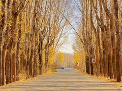 -野鸭湖国家湿地公园