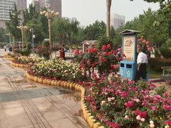 -西清公园