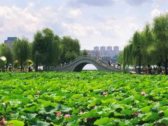 -长春市南湖公园