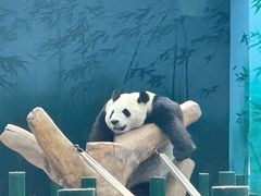-沈阳森林动物园