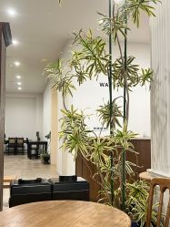 -WAVE SODA摄影工作室