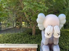 -日照海滨国家森林公园