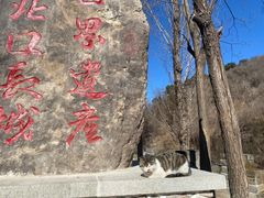 -蟠龙山长城景区