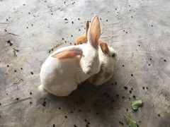 -宁波九龙湖开元度假村