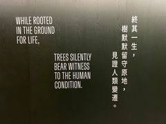 -大馆(前中区警署建築群)