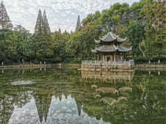 -习家池
