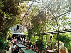 -The Grounds of Alexandria