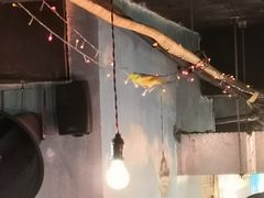 -胡同泥炉烤肉(总店)
