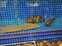 大连应季海鲜-乔哥铭洋海鲜自助(皇城恒隆广场店)