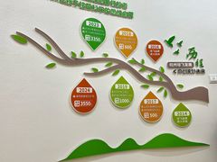 -培飞思维启蒙·益智游戏·科学探索(城西银泰店)