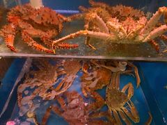 -吉友粥底火锅(方斜路店)