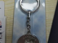 -申普宠物医院·眼科·心内科·影像科(普陀分院)
