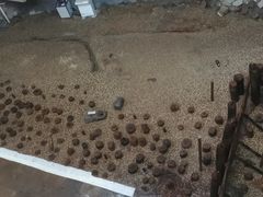 -元代水闸遗址博物馆