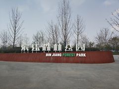 -上海滨江森林公园