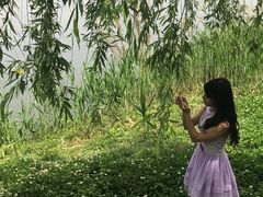 -白鹭湾湿地公园