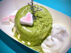 -狐狸和向日葵(北京路店)