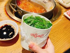 -四喜小胖·北京涮肉(五道营店)