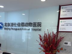 -北京派仕佳德动物医院·超导核磁·CT·神经科·骨科·内外科·急重症管理中心