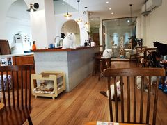 -有猫主题·治愈系猫咖(曾厝垵店)