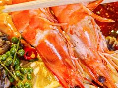 -金龙·打边炉(南京西路店)