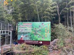 -藏龙百瀑风景区