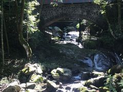 -藏龙百瀑风景区