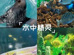 -洛阳龙门海洋馆