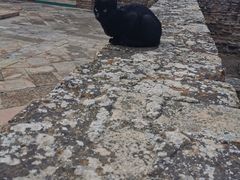 -阿尔罕布拉宫