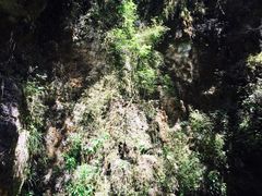 -怀托摩萤火虫洞