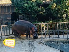 -济南野生动物世界