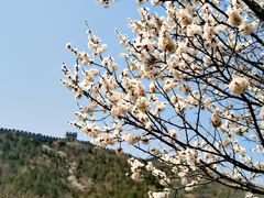 -居庸关长城