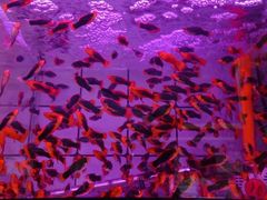 -西宁市人民公园(城西区)