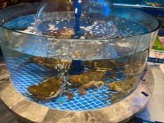 -海立阁海鲜江浙菜(漕河泾印象城店)