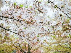 -龙美术馆(西岸馆)