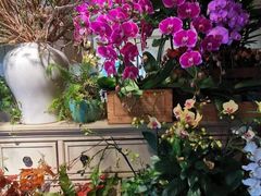 -春暖花开(西溪店)