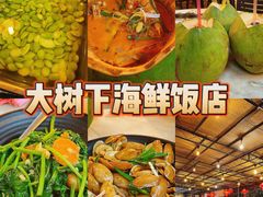 -大树下海鲜饭店