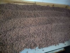 -南大门韩国米糕(公滨路店)