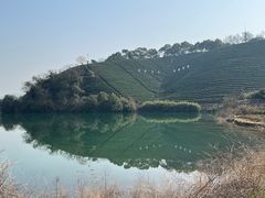-龙坞茶村