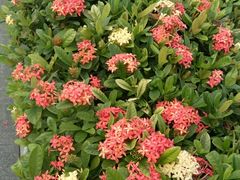 -怡海公园(桂城街道)