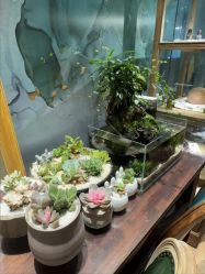 -娇玫荟SPA