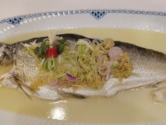 -山泉公馆酒家(珠江新城店)