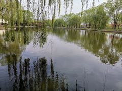 -石家庄市植物园