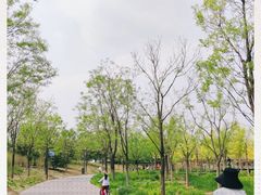 -东郊湿地公园