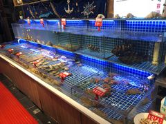 水产区-必点海鲜·鲅鱼水饺(鞍山西道店)