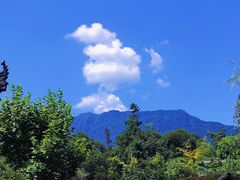 -中国大熊猫保护研究中心雅安碧峰峡基地